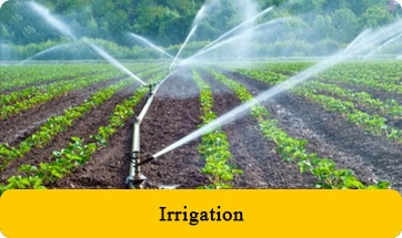  Irrigation - PP Ball Valve Exporter in Saudi Arabia